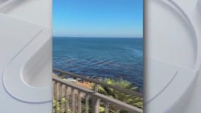 Terranea Resort in California: Austin Travels