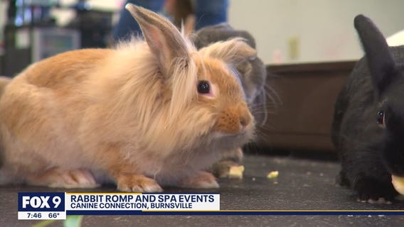 Bring your bunnies to Burnsville