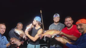 Rain storms lower water temperature, bringing fish