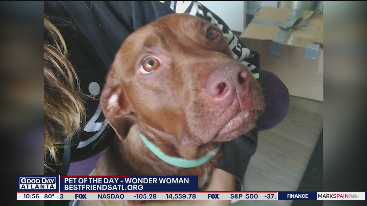 Pet of the day from Best Friends Animal Society