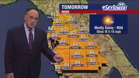 Tampa Weather | Clear night, mostly sunny Tuesday