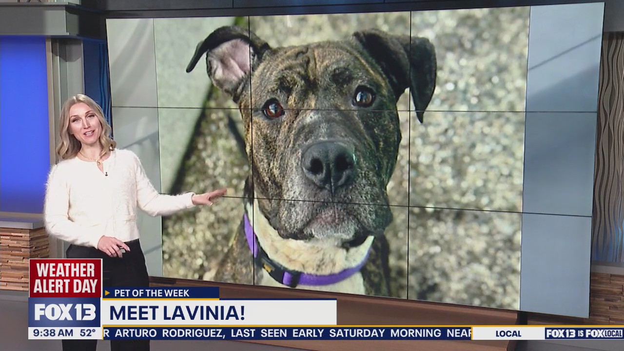 Pet of the Week: Lavinia