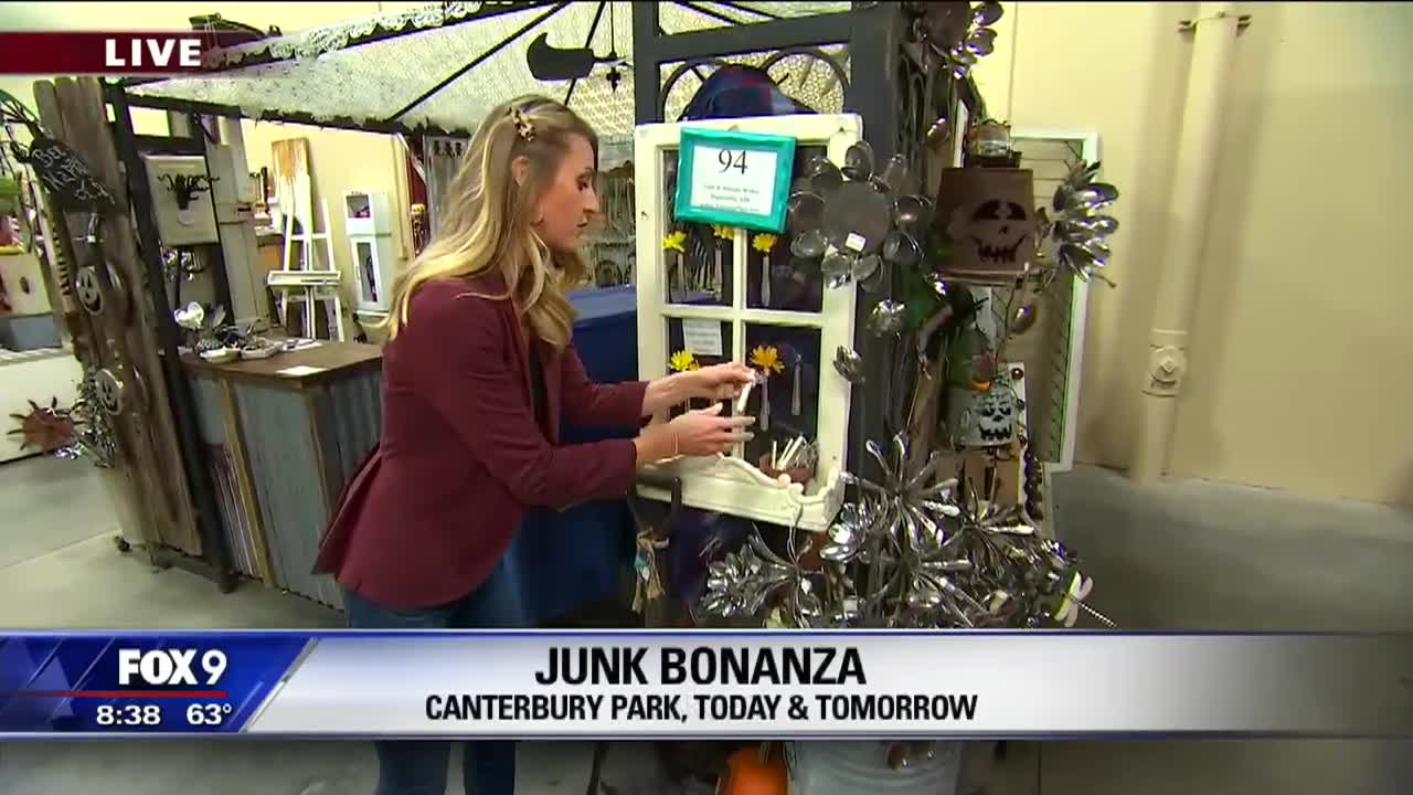Treasure abound at the Junk Bonanza