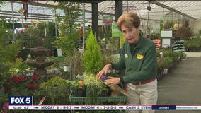 Pike Nurseries with Rena Sartain