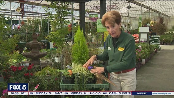 Pike Nurseries with Rena Sartain