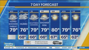 NYC weather forecast