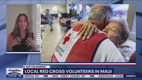 Local red cross volunteers in Maui