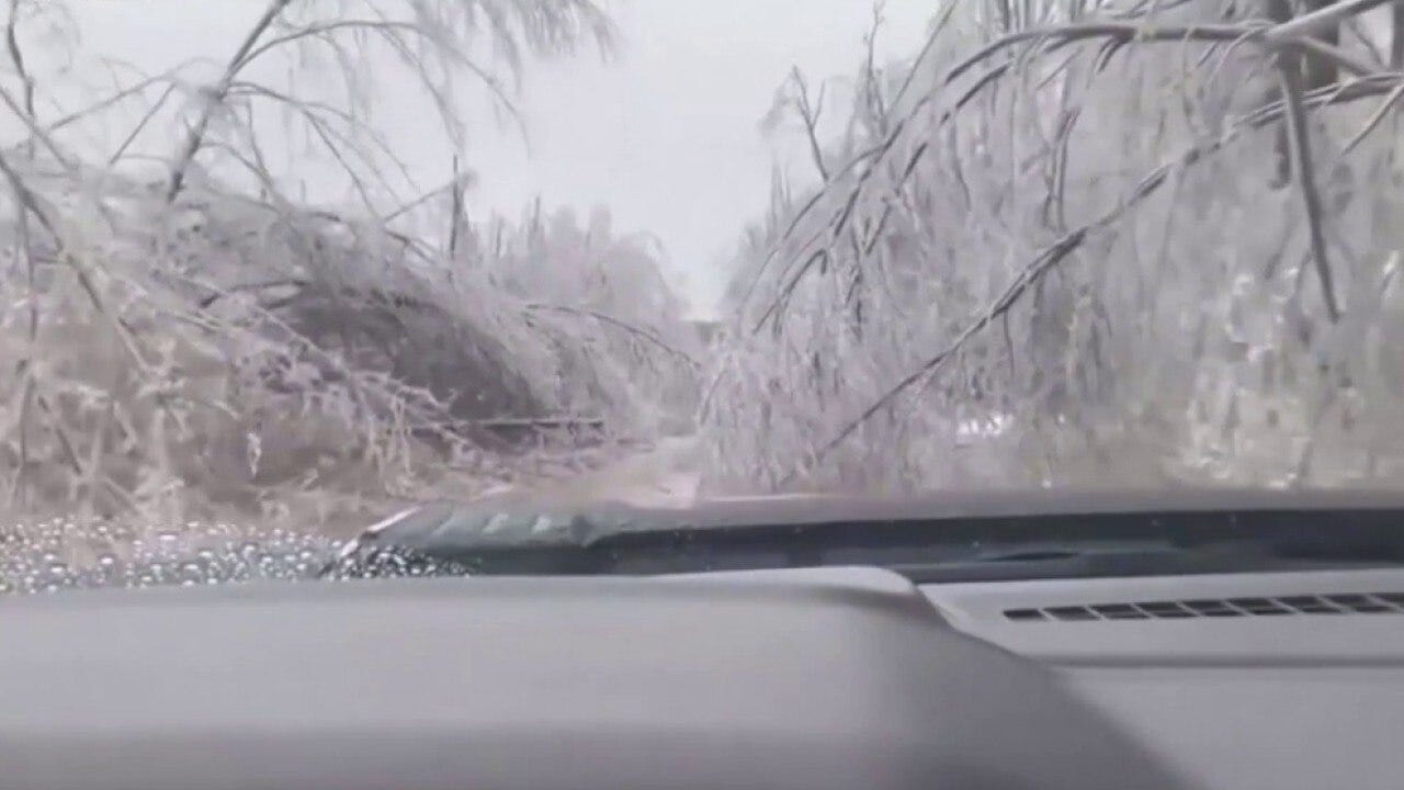 Looking back at Michigan's devastating ice storm