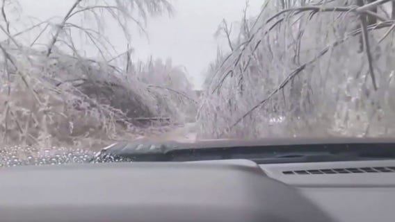 Looking back at Michigan's devastating ice storm