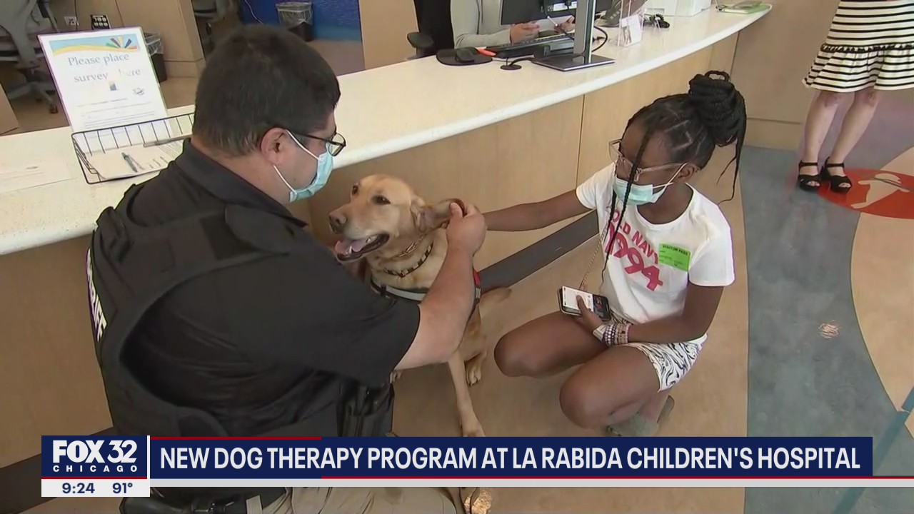 Therapy dogs cheering up kids at Chicago children's hospital