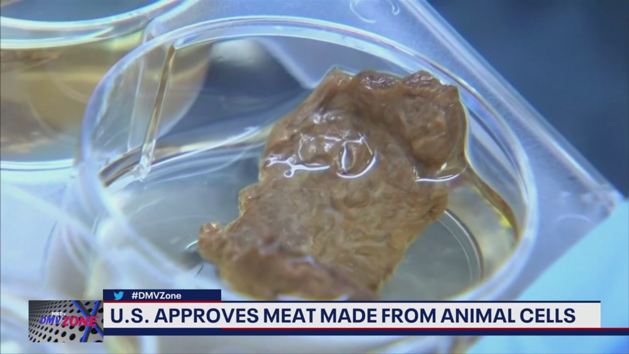 USDA approves first-ever meat made from animal cells