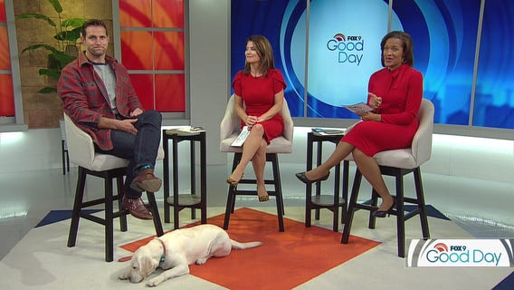 Spooks to avoid for a safe Halloween with your pets