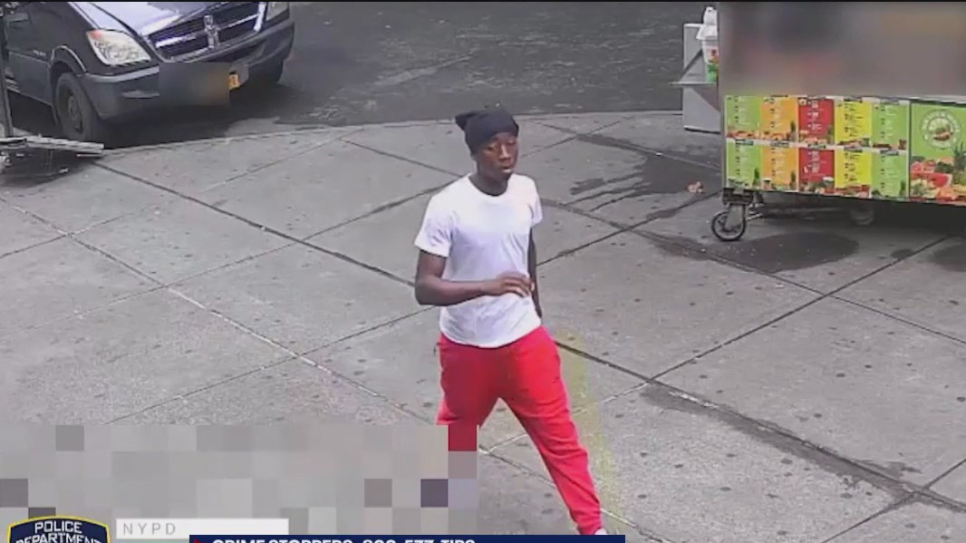 Suspect robs elderly woman in the Bronx