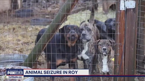 50+ animals recovered from property in Roy, WA