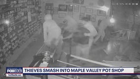 Thieves push barriers through Maple Valley pot shop