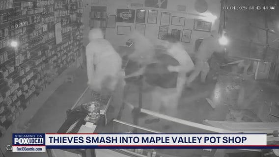 Thieves push barriers through Maple Valley pot shop