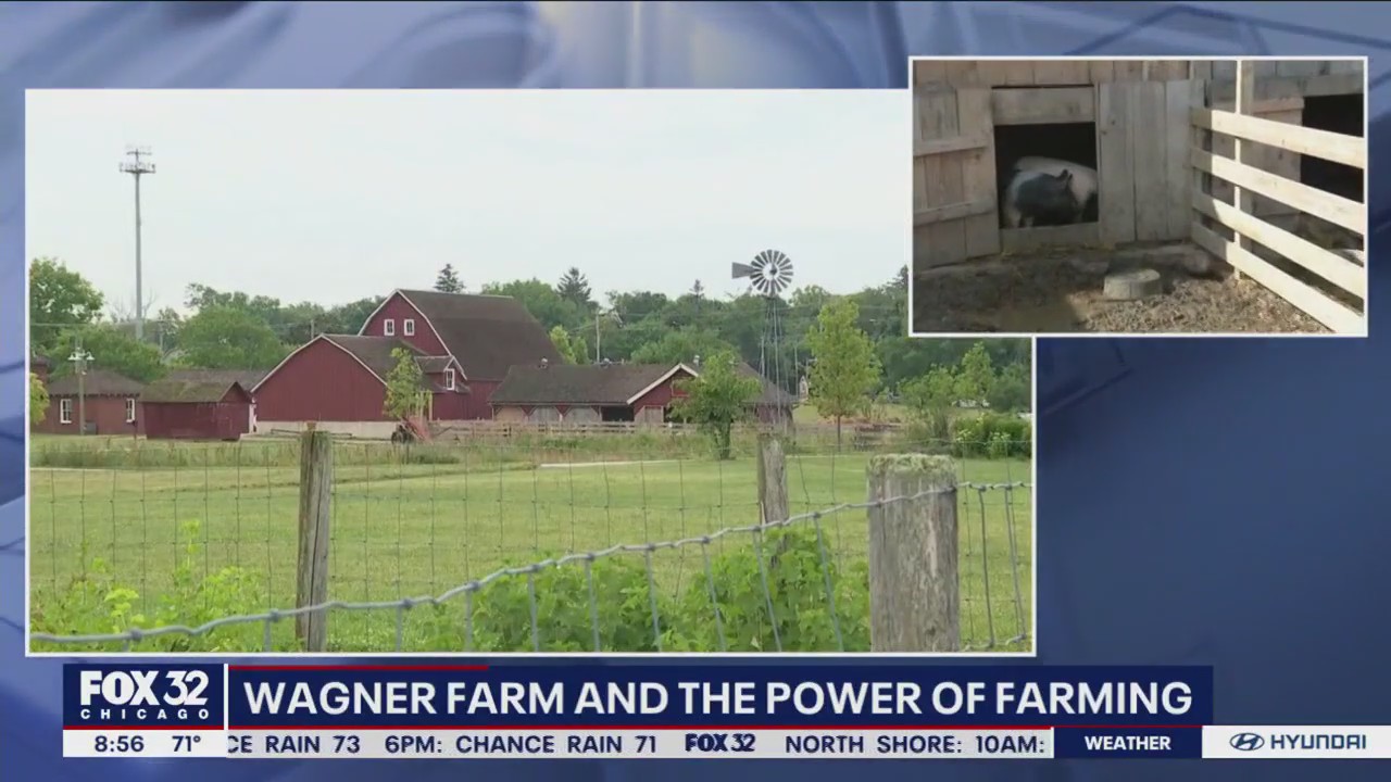 Getting down on the farm in Glenview