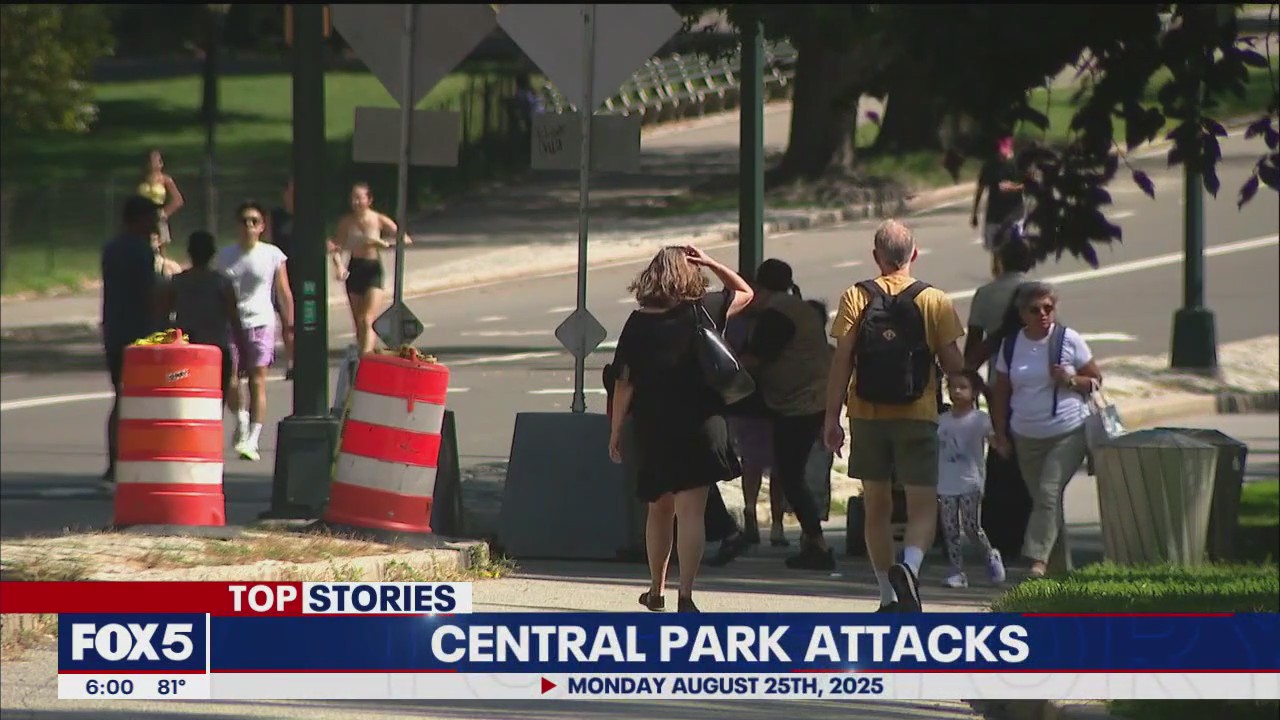 2 men randomly attacked in Central Park by same suspect: police | FOX 5 ...