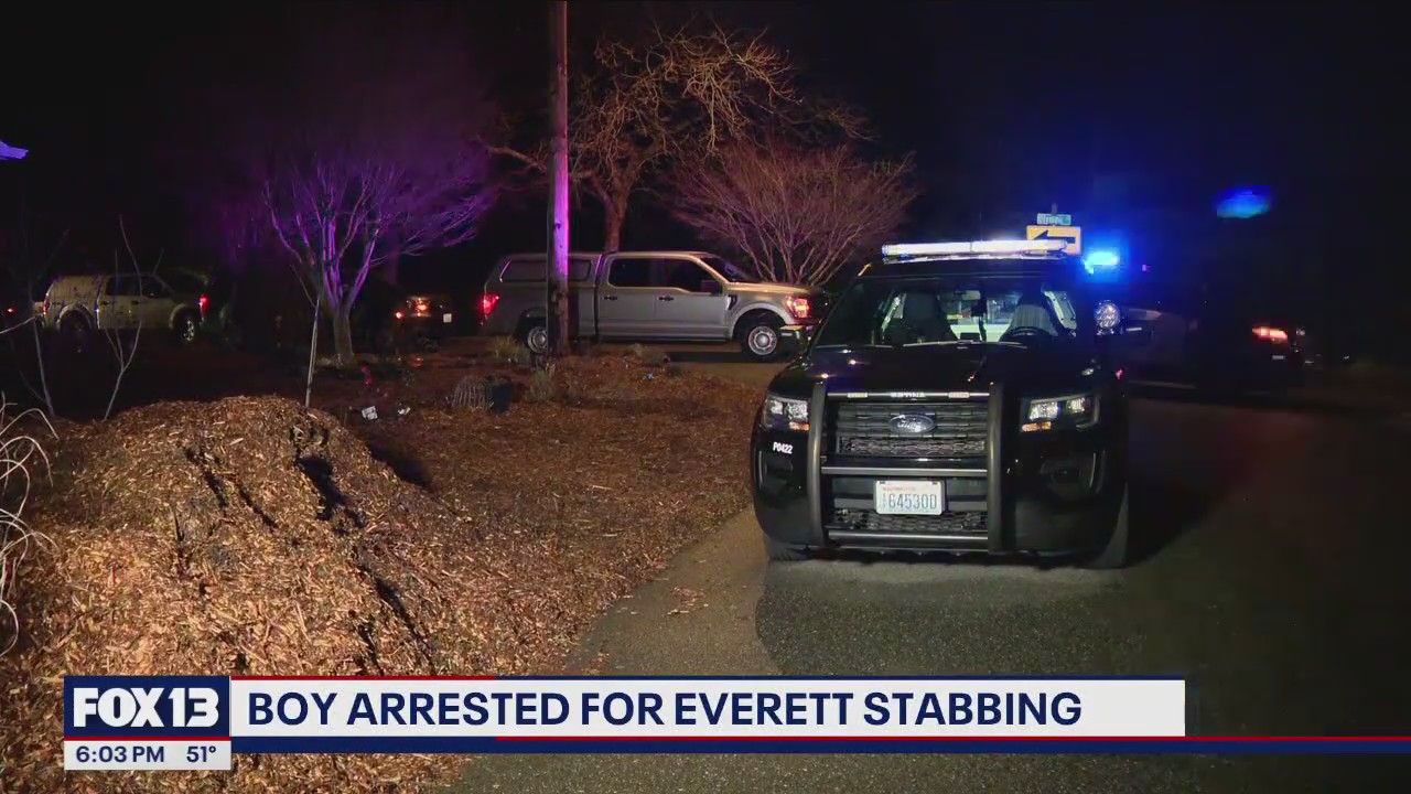 Boy arrested for Lions Park stabbing in Everett