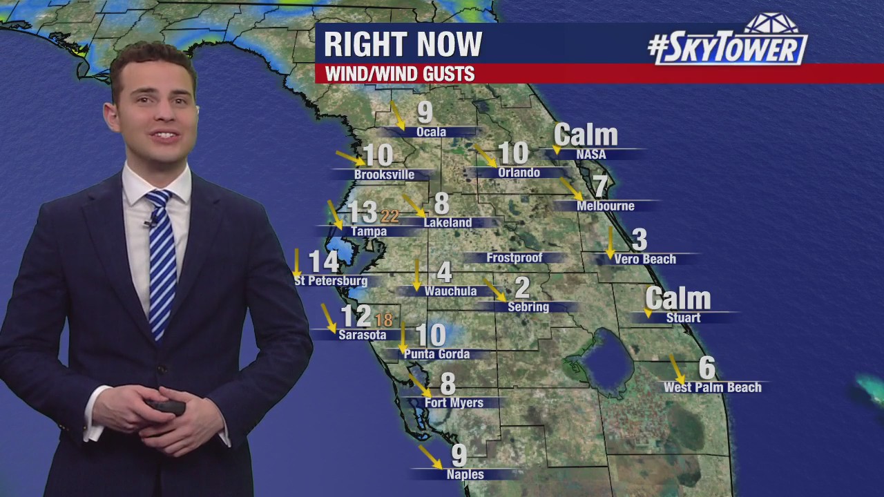 Tampa Weather | Breezy evening