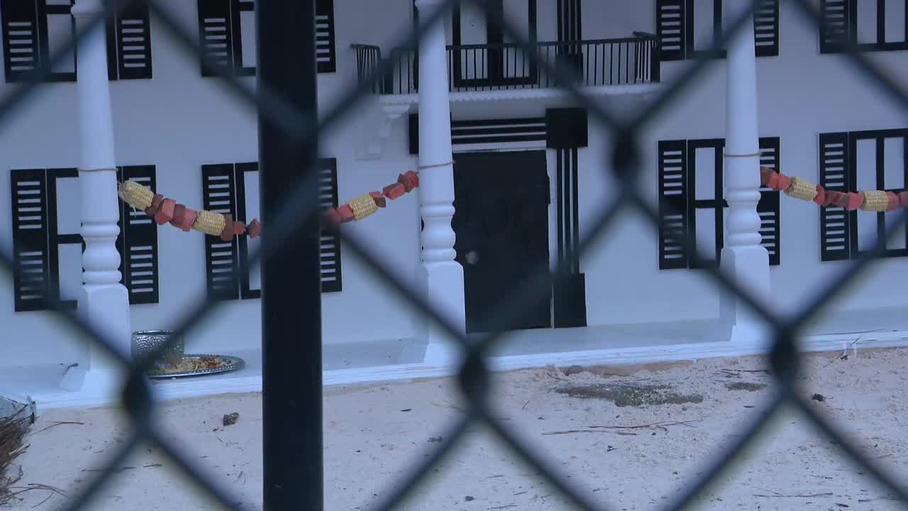 General Beauregard 'Beau' Lee sees his shadow