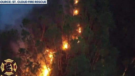 Lightning sparks brush fire in Lake Lizzie Preserve