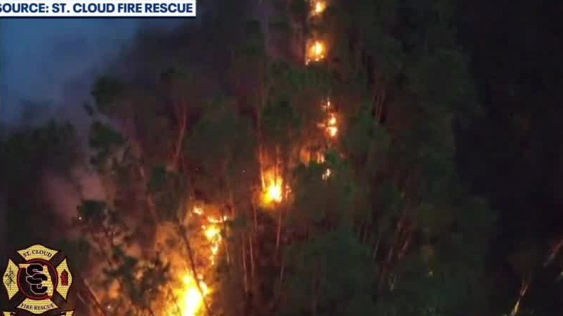 Lightning sparks brush fire in Lake Lizzie Preserve