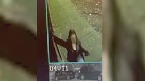 Beloved dog seriously injured by broken glass left behind by woman