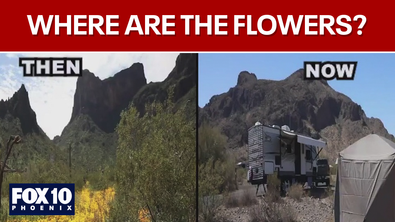 Wildflowers aren't blooming due to dry winter conditions