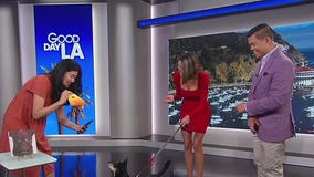 Tips for taking the best pet photo