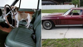 Great Rides: 1961 Lincoln Continental and 1965 Corvette Stingray