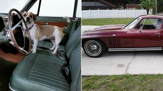Great Rides: 1961 Lincoln Continental and 1965 Corvette Stingray