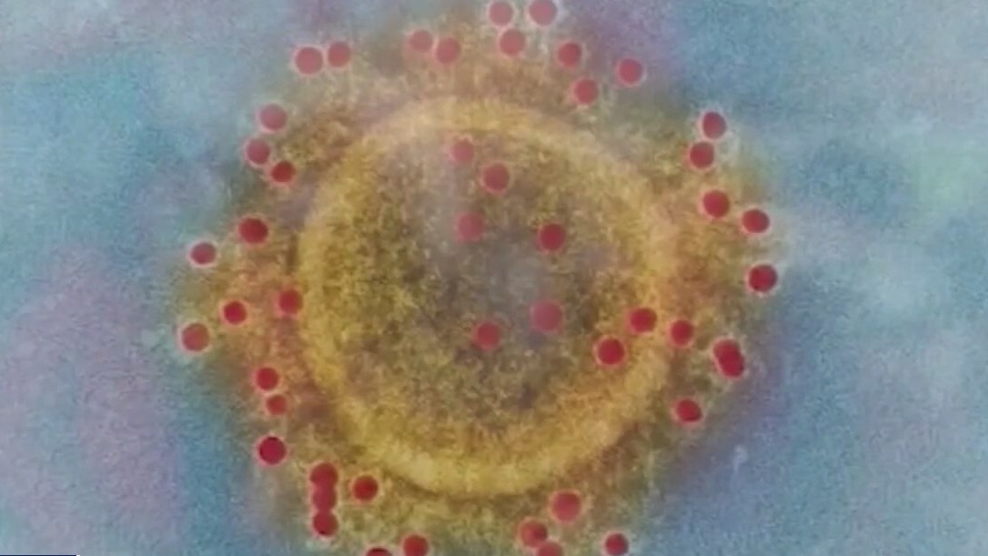 Your Health with Dr. Kumar: The Omicron coronavirus variant