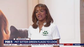 Who to trust your animals with when you go on vacay