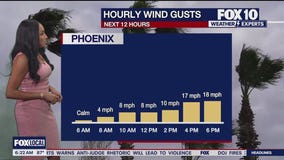 Morning Weather Forecast - 6/29/25