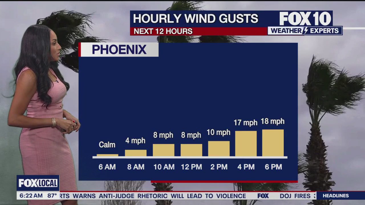 Morning Weather Forecast - 6/29/25
