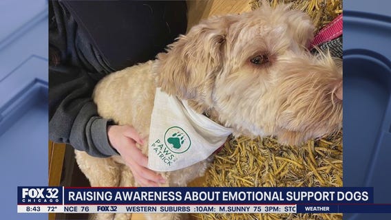 Paws for Patrick hosting Walk for Awareness & Family Fair in Lake Forest