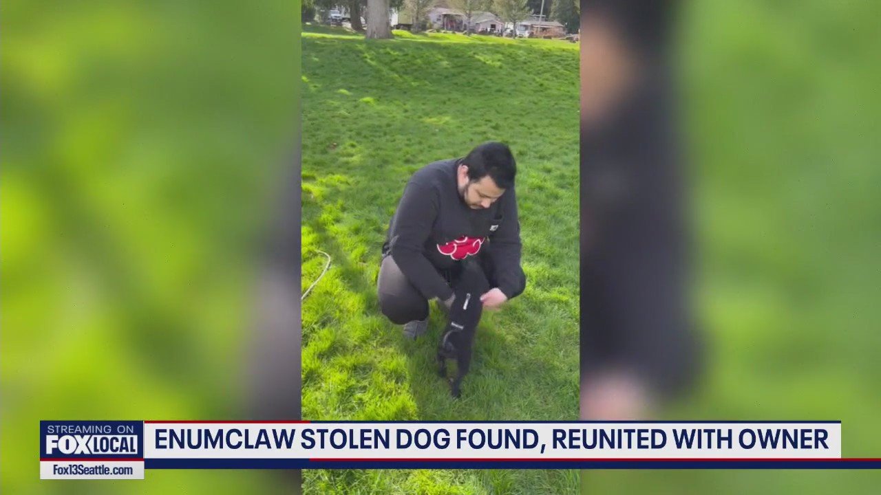 Dog stolen from Enumclaw trail reunited with owner
