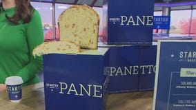 Starter Bakery's panettone returns for the holidays