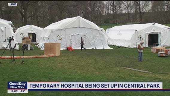 A closer look at the field hospitals in Central Park