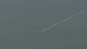 Walmart begins delivering live bait delivery service