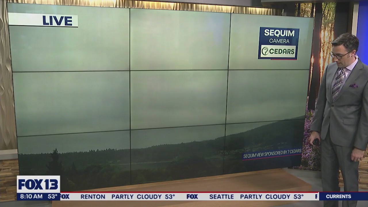 Giant spider joins Brian MacMillan in the weather center