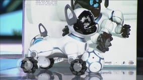 Joey Fortman Talks Black Friday Deals