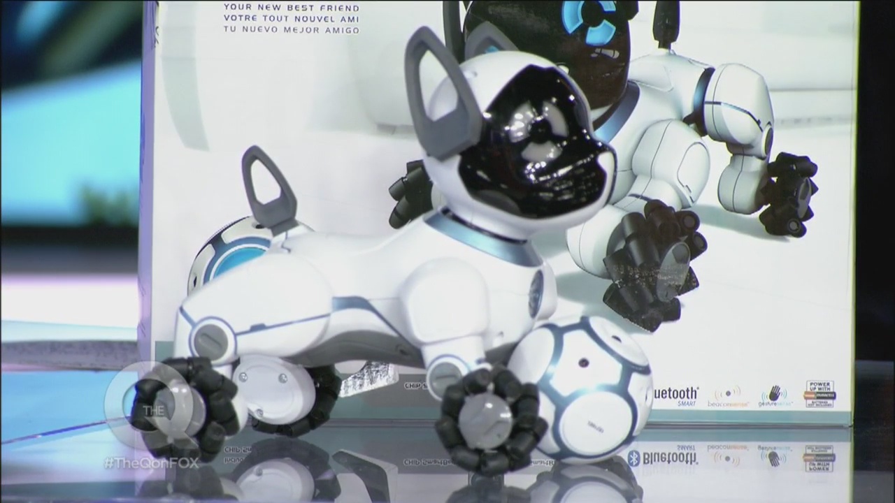 Joey Fortman Talks Black Friday Deals