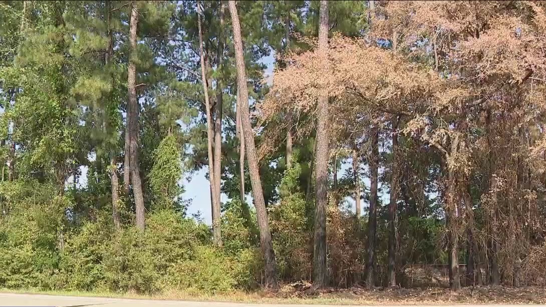 Drought increases brush fire risk