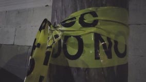 OC man accused of killing pregnant dog