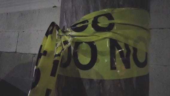 OC man accused of killing pregnant dog