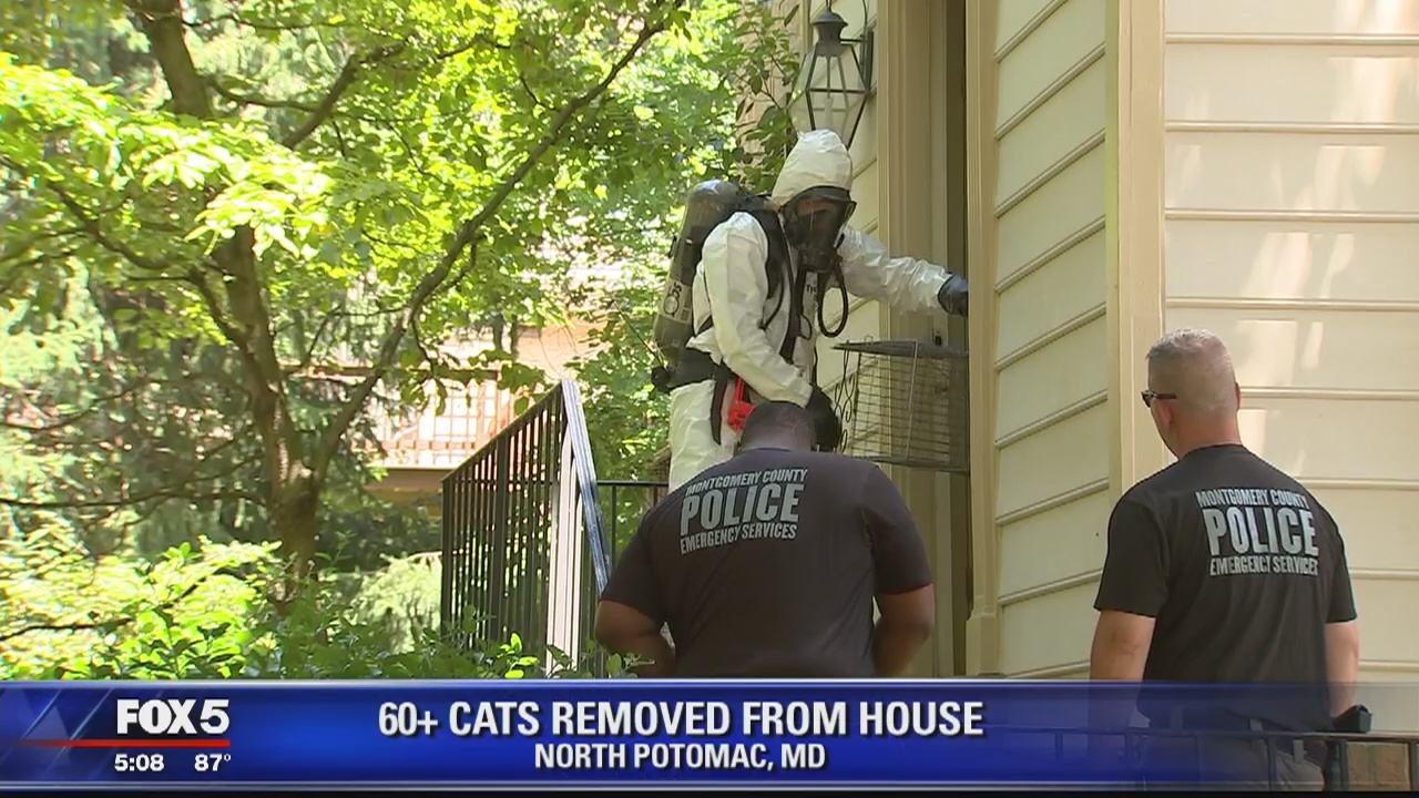 At least 60 cats removed from Montgomery County home as extreme hoarding causes hazmat response