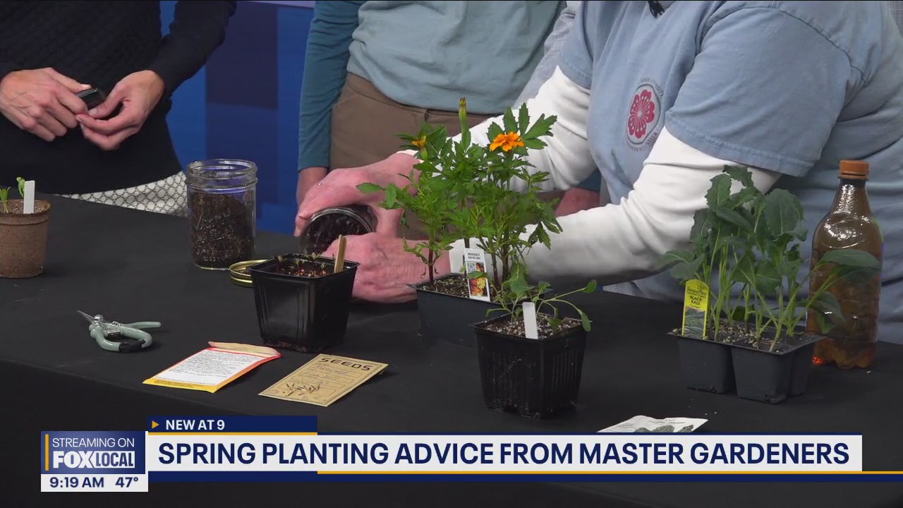 Spring planting advice from master gardeners