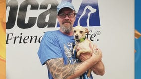Pet Project Success Story: Cheeto from spcaLA finds forever home